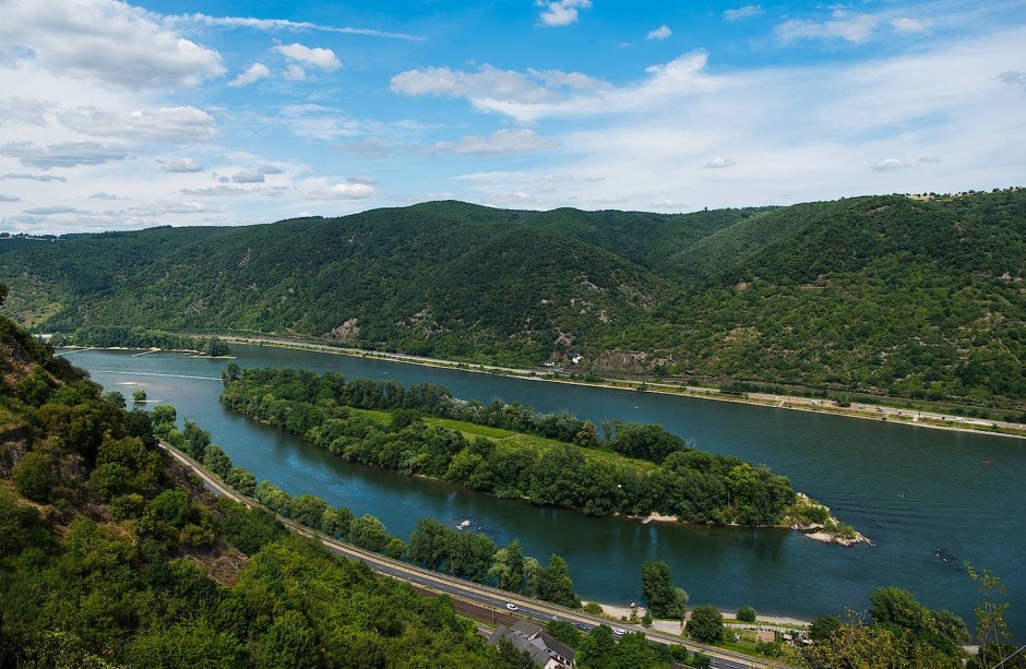 In Abgeschiedenheit: Weinreben auf der Weininsel in der Pfalz