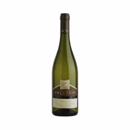 Polencic - Pinot Bianco