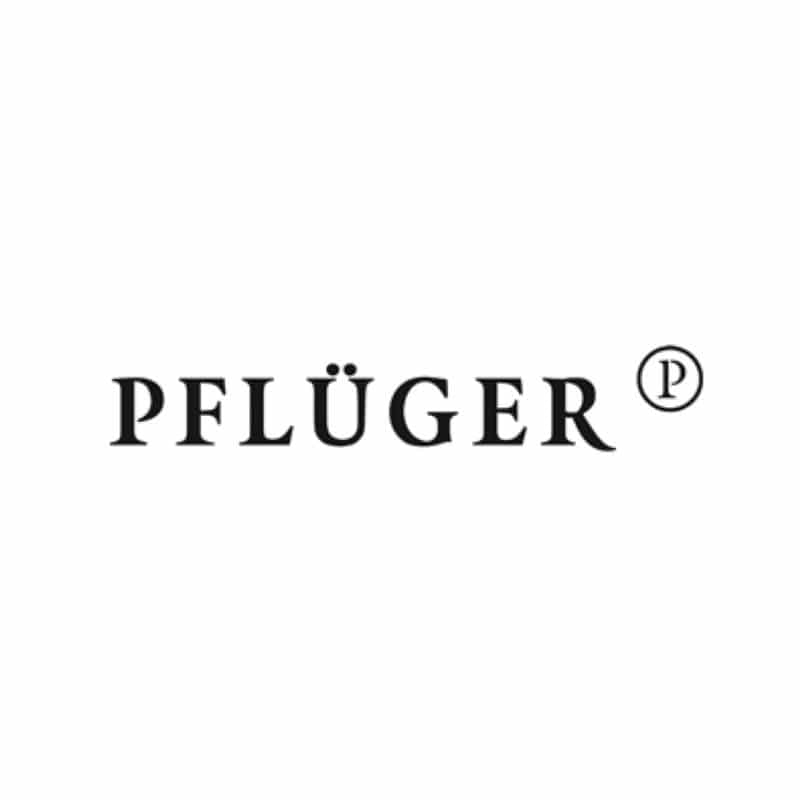 Pflüger - Michelsberg Riesling  BIO 2020