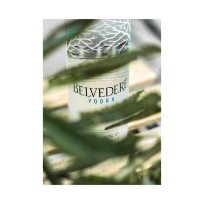 Belvedere Vodka 1 800px