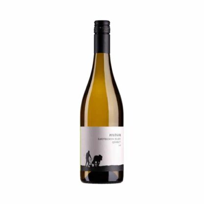 weingut-pflueger-sauvignon-blanc-quarzit-2019