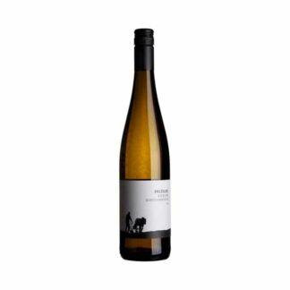 weingut-pflueger-riesling-buntsandstein-2019