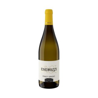 Endrizzi - Pinot Grigio 800px.jpg