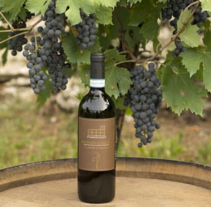 Corte Fornaledo - Valpolicella Ripasso classico superiore Stimmung