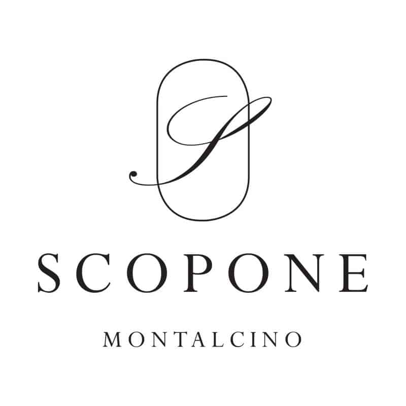 z Scopone - Logo 800px.jpg