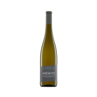 Knewitz Nieder-Hilbersheim Riesling Eisenerz trocken 800px