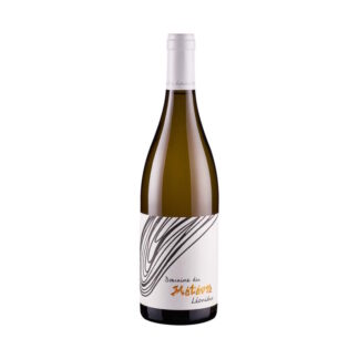 Meteore - Leonides Blanc 800px