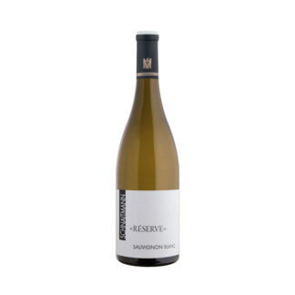Schnaitmann - Iflinger Sauvignon Blanc Reserve trocken BIO VDP Erste Lage 800px