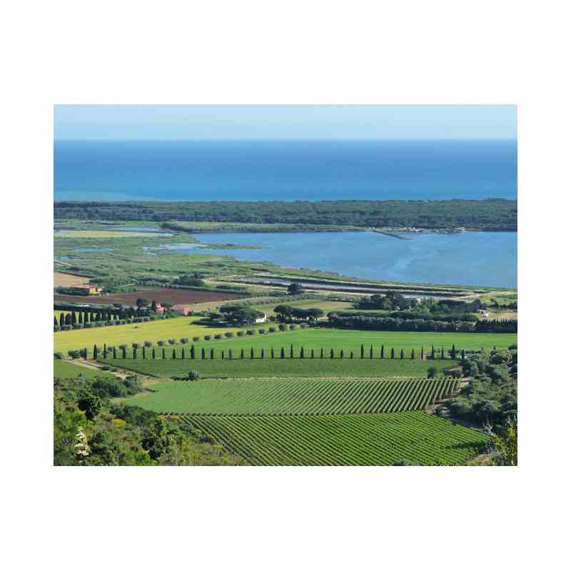 y Pepi Lignana - Weingut 3 800px.jpg